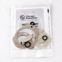 Chicago Pneumatic 4116000255 PUMP A49B SPARE GRAY